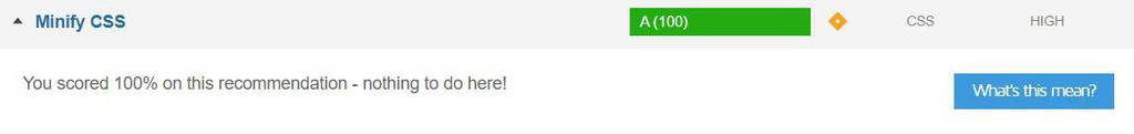 Obtuvimos la puntuación perfecta tras minificar CSS