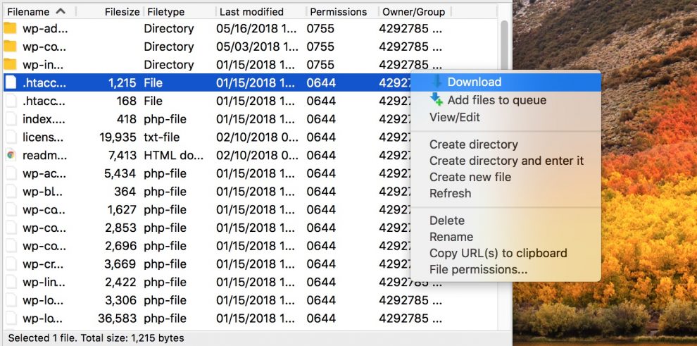 Descargar archivo .htaccess en Filezilla