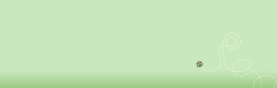 El plugin de bbPress.