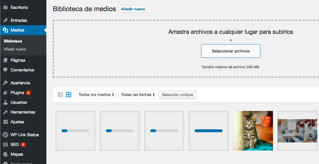 Subiendo múltiples imágenes a la vez.