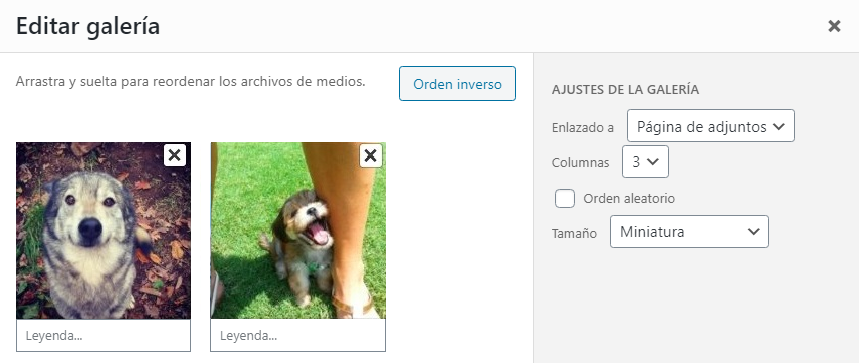 Editar tu galería de WordPress