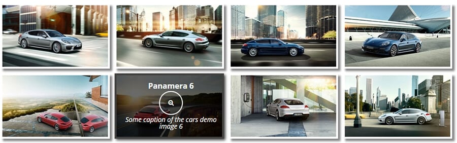 El plugin Gallery by Robo en acción.