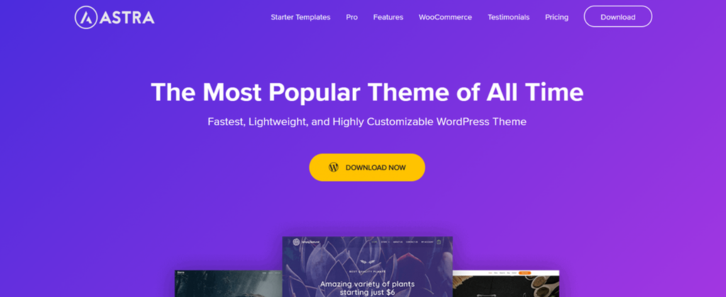 Página del tema de WordPress Astra