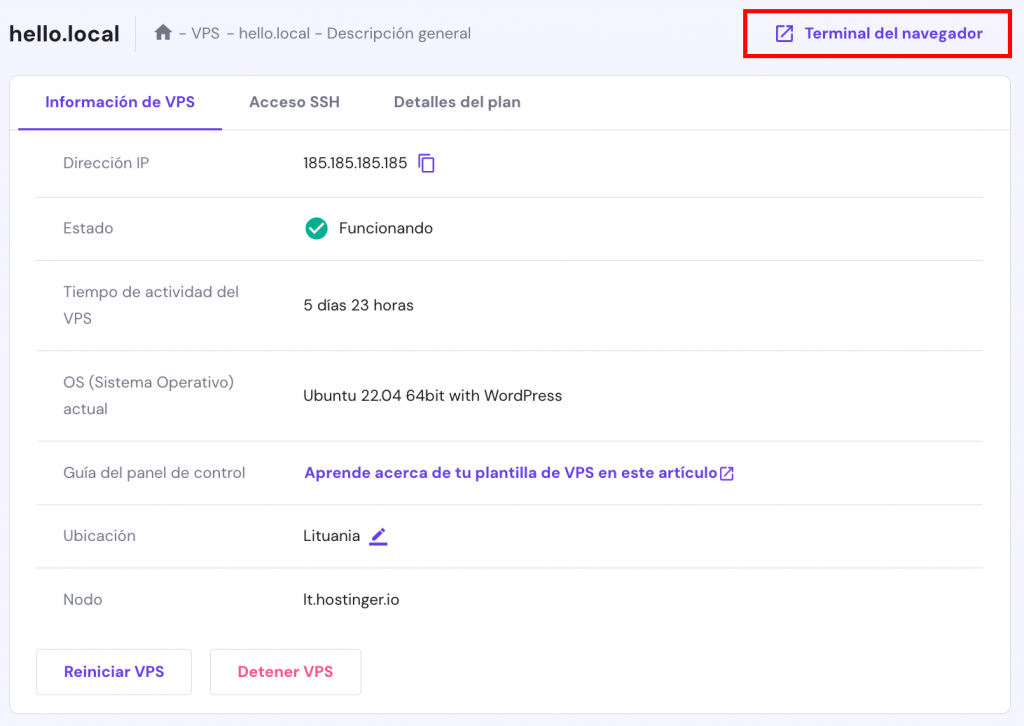 La página de resumen de un VPS de Hostinger. El botón de terminal del navegador está resaltado