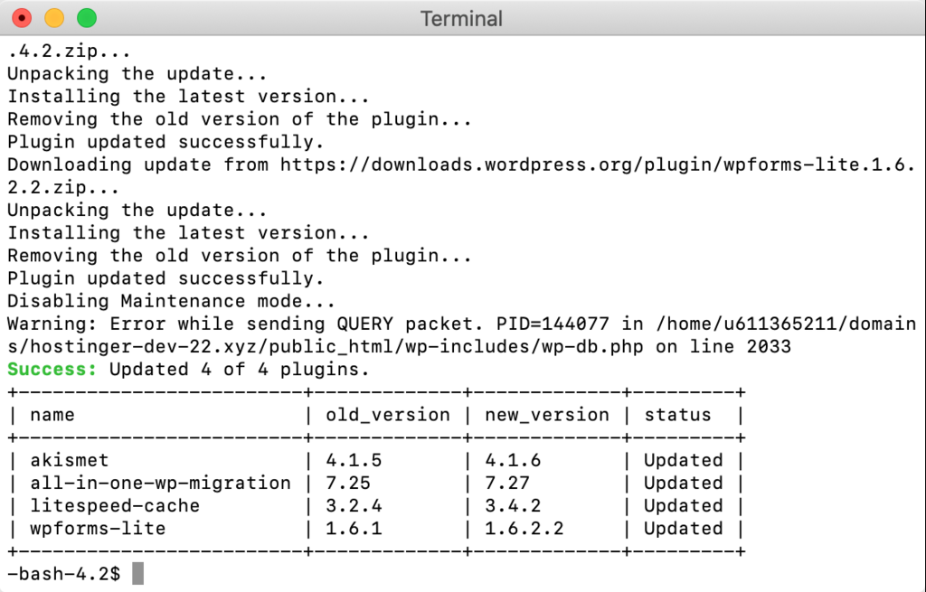 Actualización de WordPress finalizada en la terminal