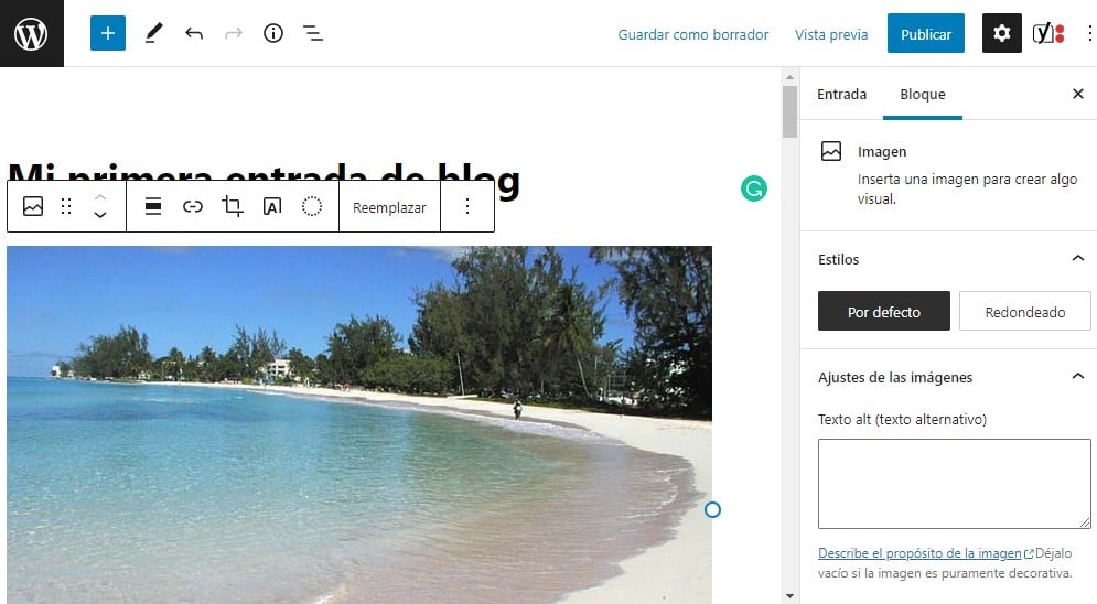 Visualización del bloque de imagen en el editor