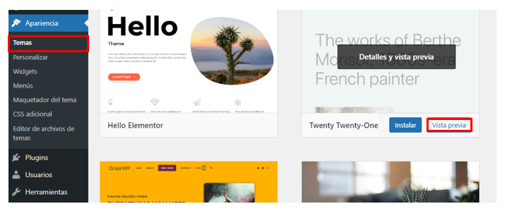 Visualización de la opción de vista previa en el panel de WordPress