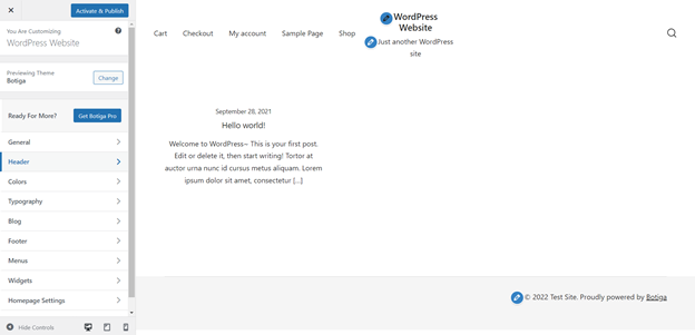 Vista del panel para personalizar el tema en WordPress