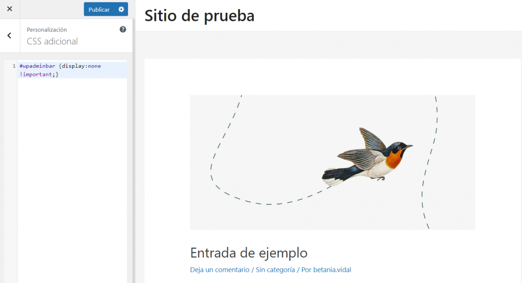 Imagen del editor de CSS adicional de WordPress