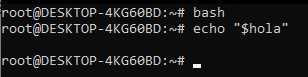 Salida de la terminal en una nueva instancia de bash cuando no se ha exportado la variable previamente. En este caso el comando echo no da ninguna salida para el usuario.