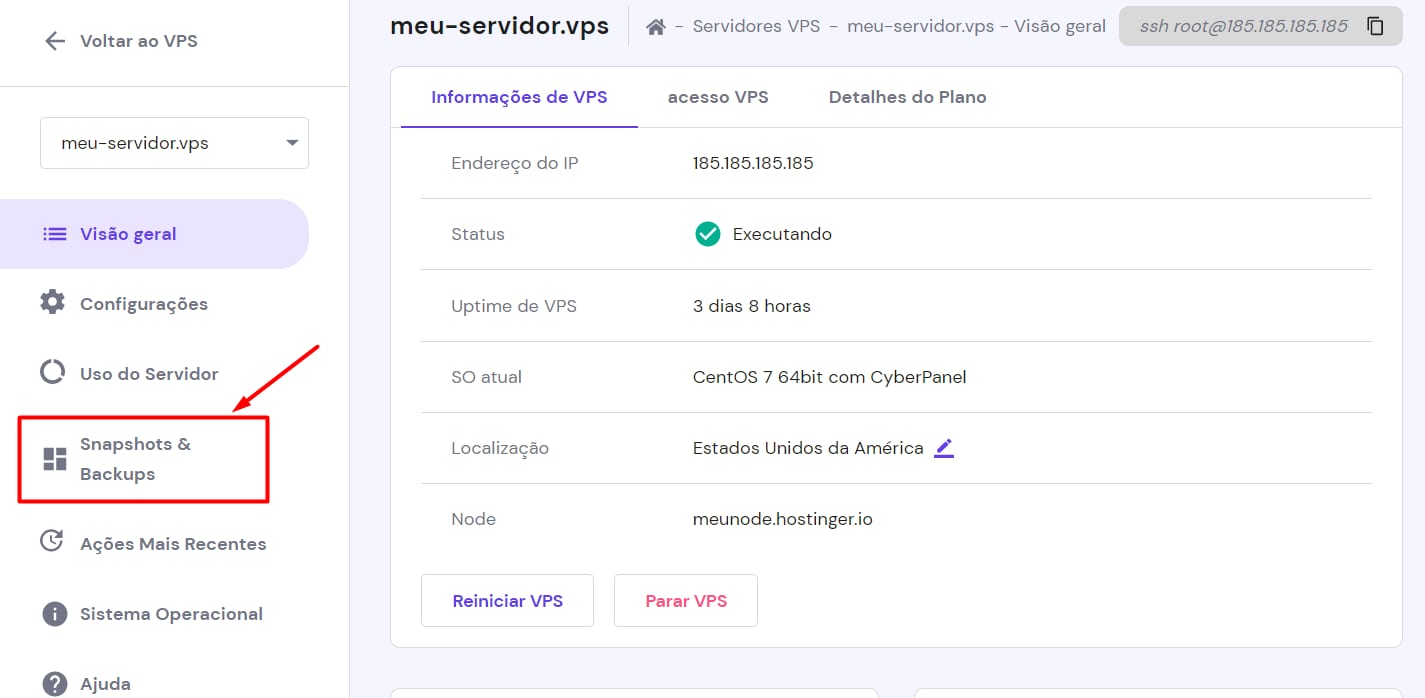 Seção Snapshots e backups no hPanel → VPS