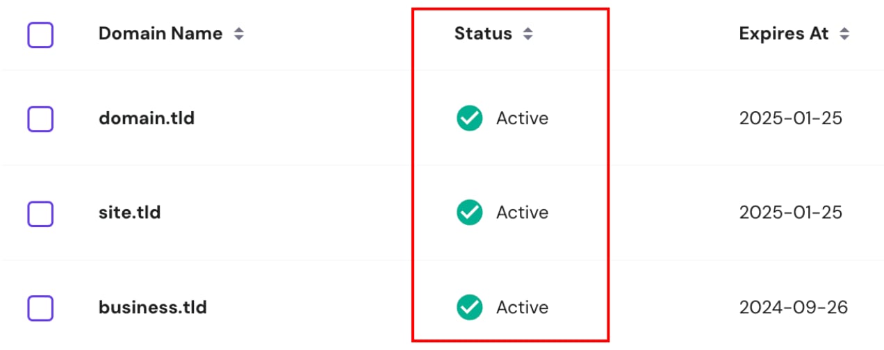 The Domain section showing where to check the domain status