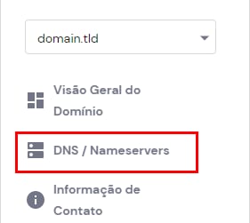 Acessando a zona DNS do domínio abrindo a guia DNS / Nameservers