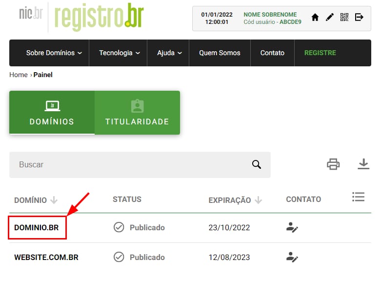 Changing domain nameservers at Registro.br