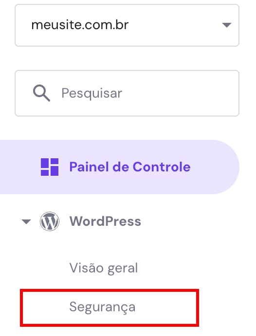 Opção Segurança do menu do WordPress