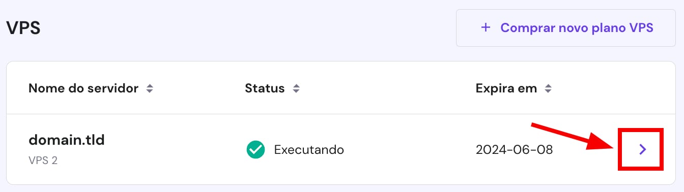 Acesso ao painel de controle do VPS