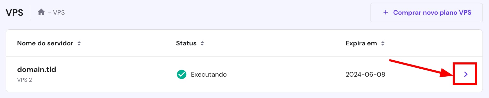 Acesso ao painel de controle do VPS