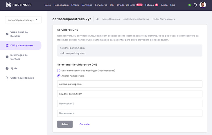 captura de tela da escolha de nameservers