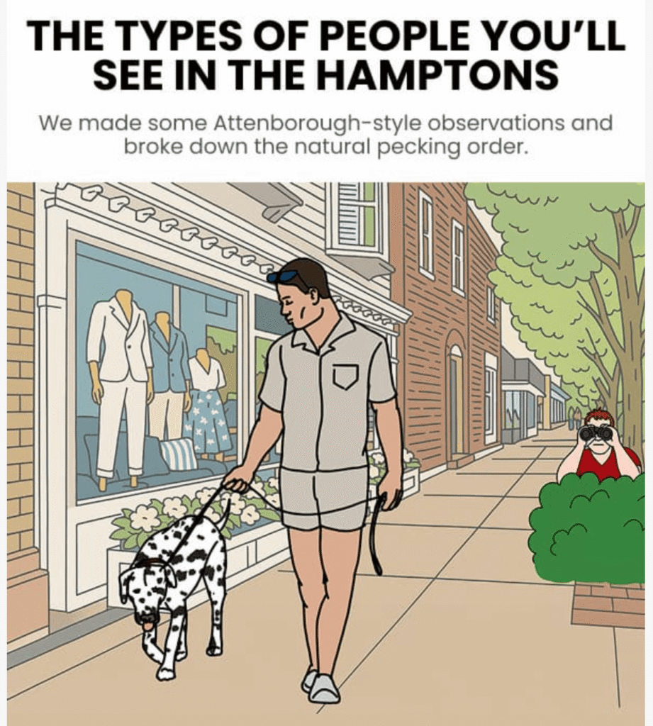 campanha de email marketing da birddogs