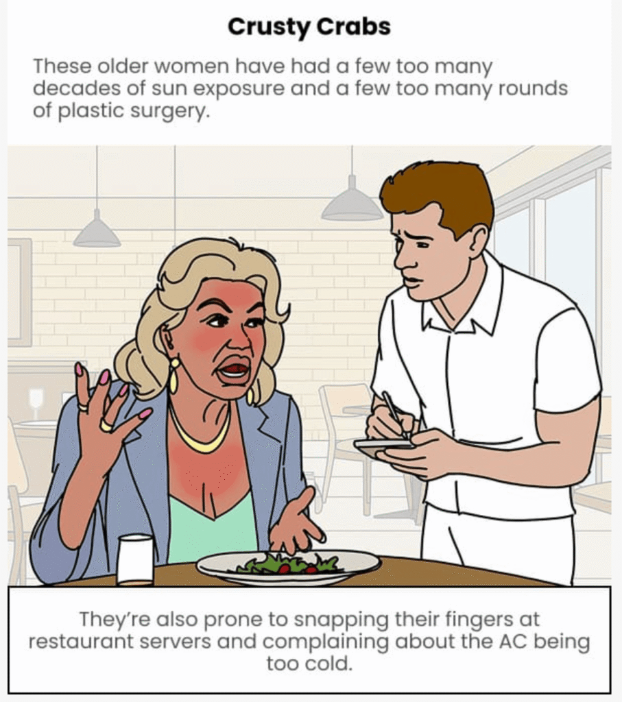 campanha de email marketing da birddogs