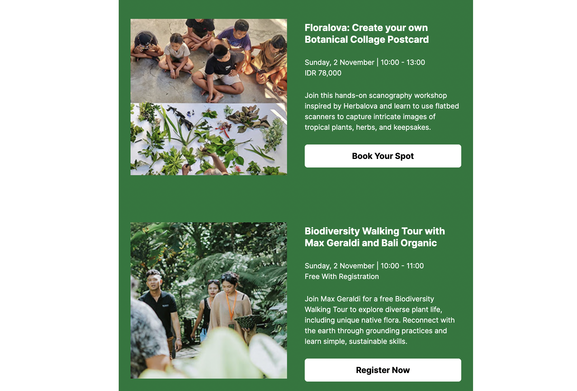 Exemplo de padrão em forma de F no boletim informativo do Ubud Writers & Readers Festival.