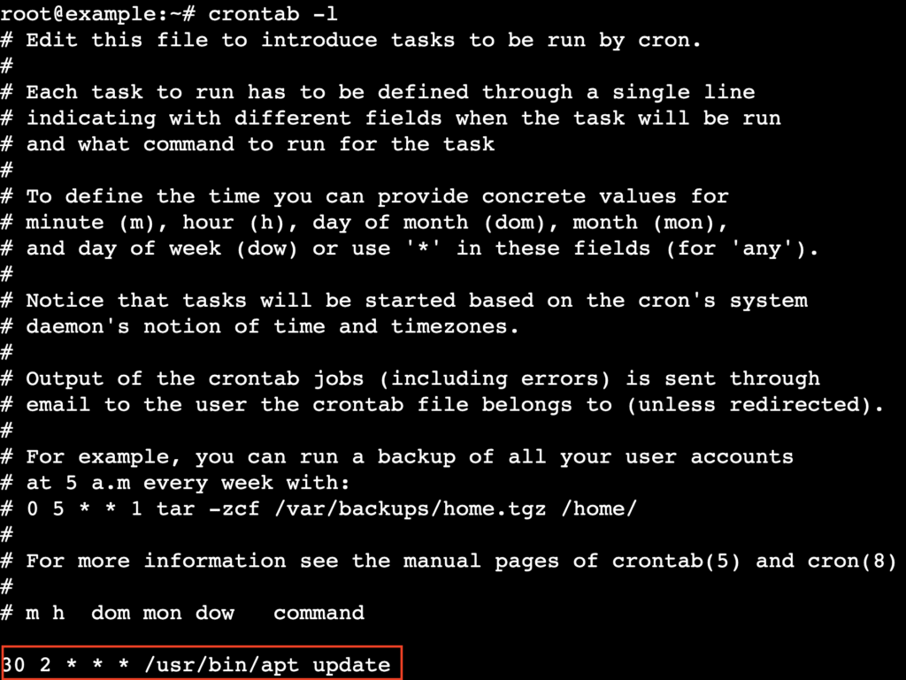 Terminal mostrando a saída do comando `crontab -l` com uma atualização do apt agendada.