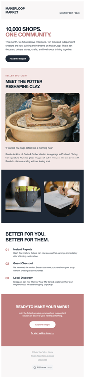 Rose and charcoal marketplace growth newsletter