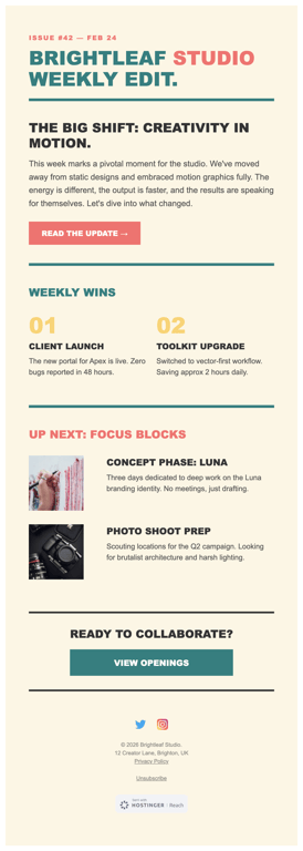Coral and teal creative studio weekly newsletter