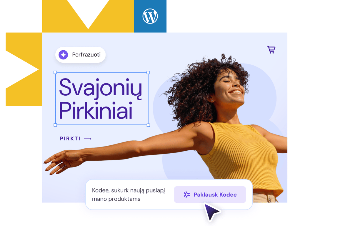 Valdyk WordPress su savo DI agentu