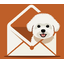Bichon