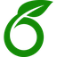 Overleaf
