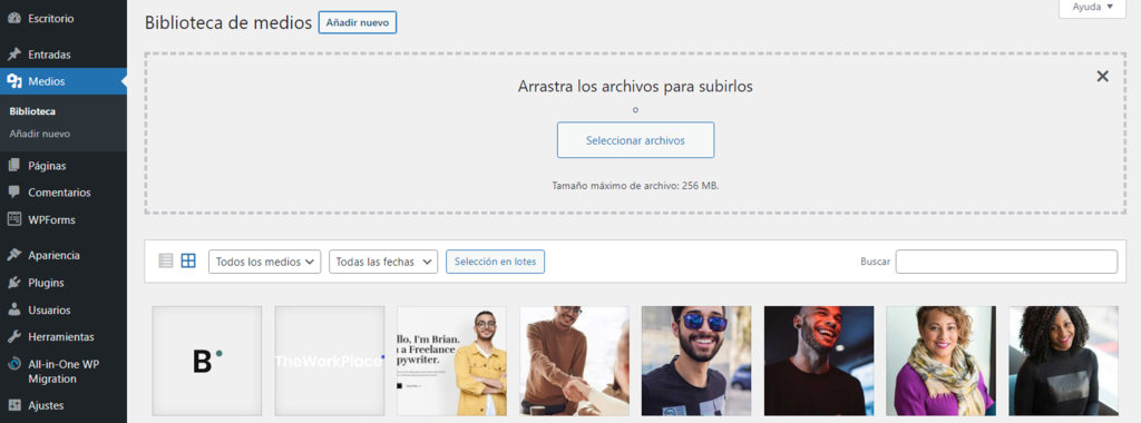 Añadir medios nuevos en WordPress