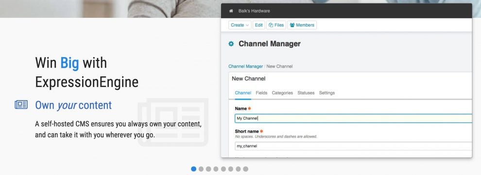 Interfaz de Expression Engine