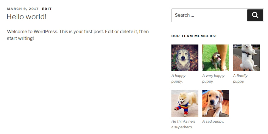 Revisando la galería en el sitio publicado.