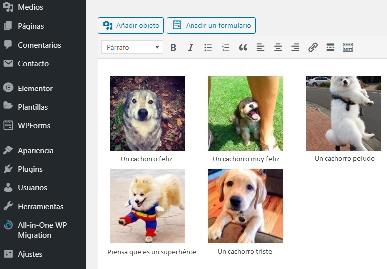 Insertar una galería en tu entrada