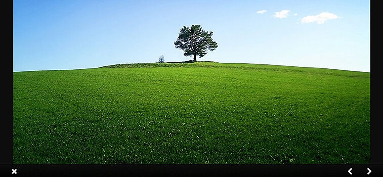 El plugin de Lightbox Gallery en acción.