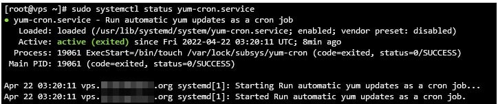 Visualización del comando para comprobar el servicio