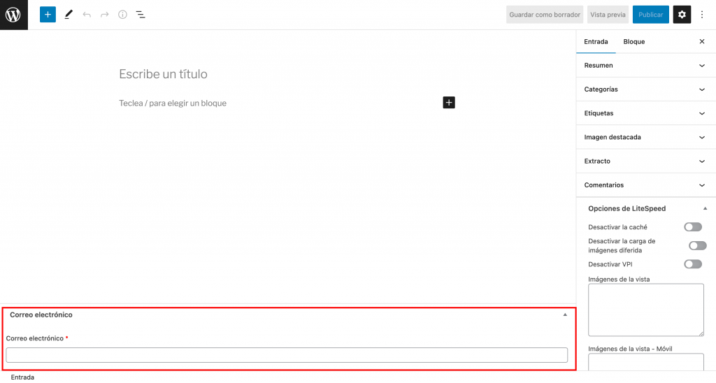 Sección de campos personalizados bajo el editor de texto