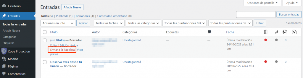 Opción para borrar una entrada de blog