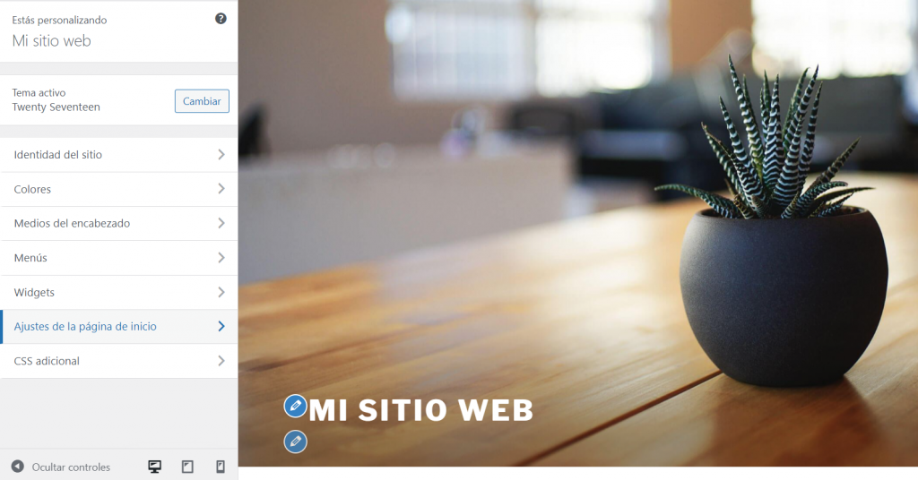 Opción: Ajustes de la página de inicio del Personalizador de WordPress