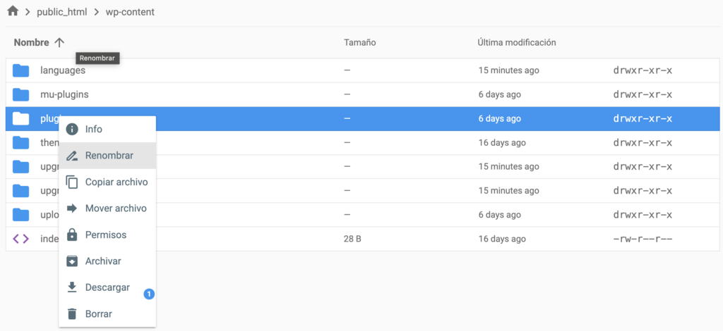 Opción de Renombrar archivo de Administrador de archivos