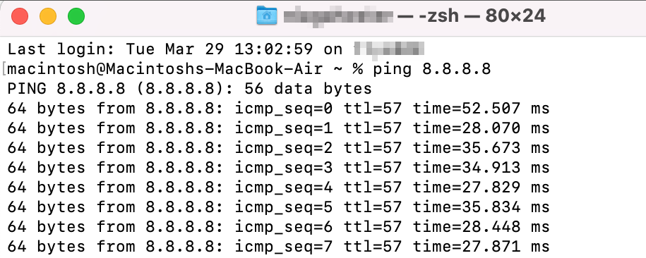 Ping-Befehl im Terminal unter macOS ausführen