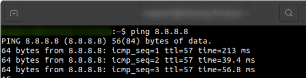Den Ping-Befehl im Terminal unter Ubuntu ausführen