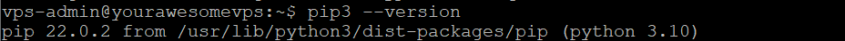 Die Befehlszeilenschnittstelle gibt die installierte pip-Version zurück.