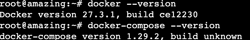 Das Terminal zeigt die Docker- und Docker-Compose-Version an.