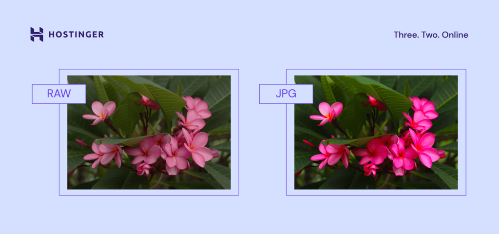 Direkter Vergleich eines Bildes im RAW- und JPEG-Format.