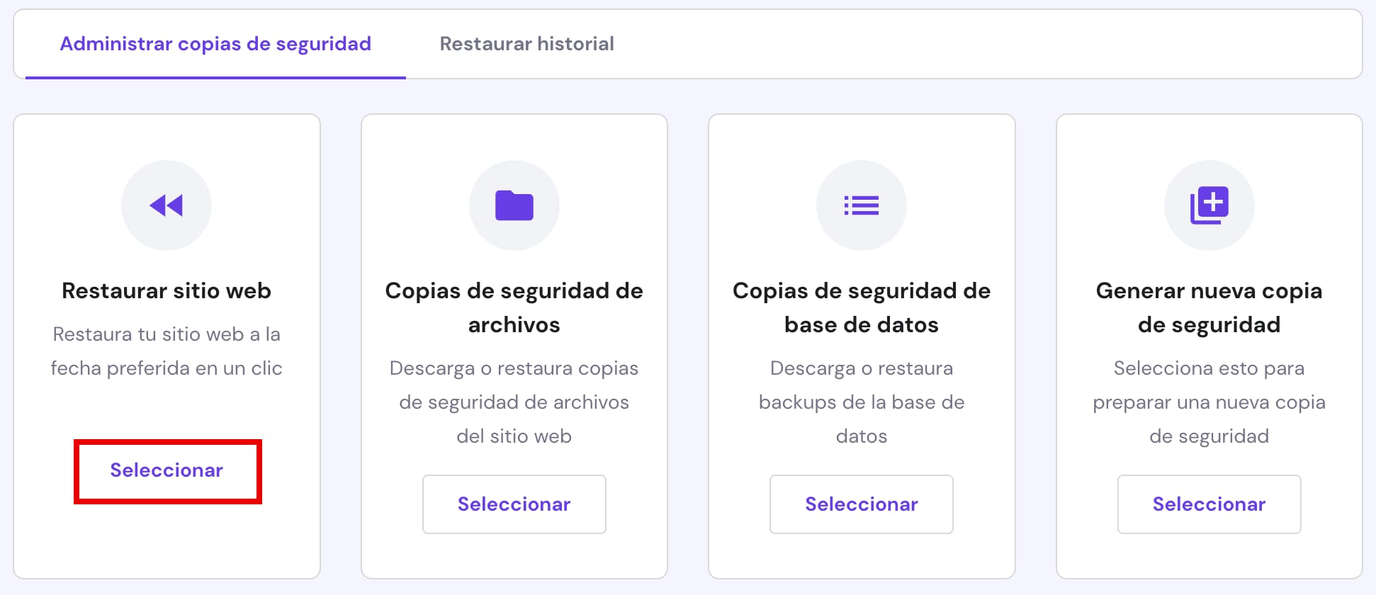 Las opciones de copias de seguridad en el área de gestión del sitio web