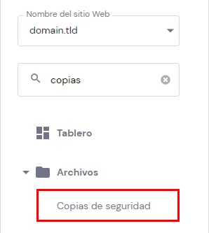 Opciones de copia de seguridad en el área de gestión del sitio web