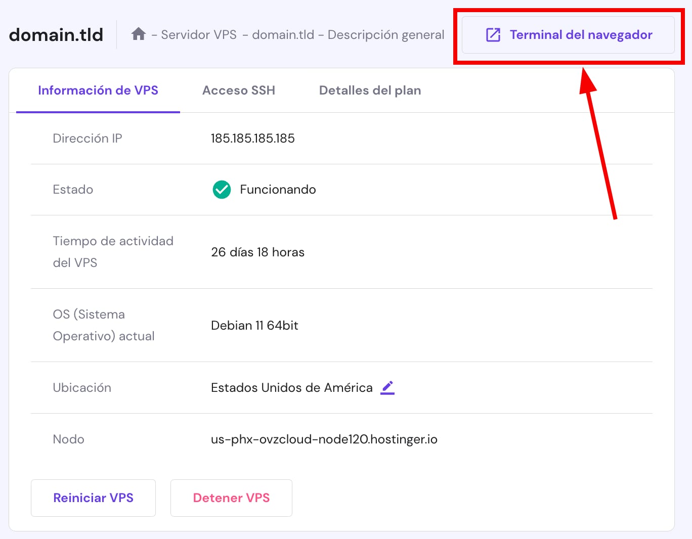 Accediendo al terminal de navegador del VPS