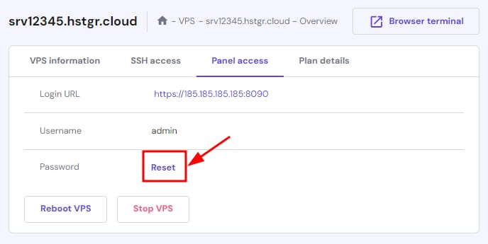 The VPS Overview showing how to reset the panel access password